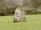 Gortavehy West Standing Stone - PID:13112