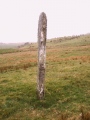 Gour Standing Stone - PID:13035