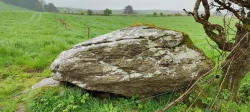 Caherkirky boulder burials + standing stone - PID:260823