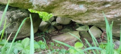 Caherkirky boulder burials + standing stone - PID:260824