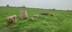 Knockatlowig stone row - PID:261615