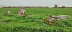 Knockatlowig stone row - PID:261616