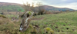 An Com Liath Thoir standing stone - PID:272703