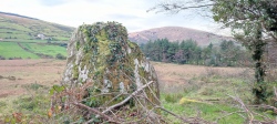 CoomleaghEast standing stone - PID:273200