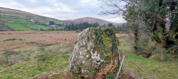 CoomleaghEast standing stone - PID:273198