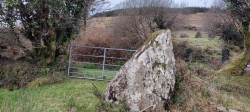 CoomleaghEast standing stone - PID:273197