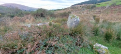 Coom Leagh East Stone Row - PID:273372