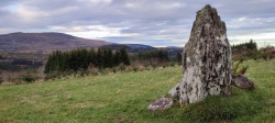 Goulacullin standing stone - PID:273654