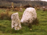 Knockraheen SW Standing Stones - PID:13397