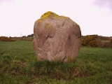 Kylefinchin 2 Standing Stone - PID:13038