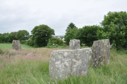 Templebryan stone circle - PID:110921