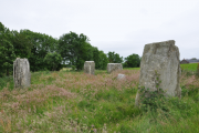 Templebryan stone circle - PID:110922