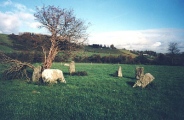 Ballyvacky Stone Circle - PID:1264