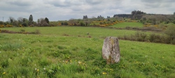 Carrignamaddry standing stones - PID:244329