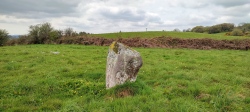 Carrignamaddry standing stones - PID:244330