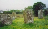 Templebryan stone circle - PID:127574