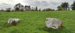 Cúil an Mhothair anomalous stone group - PID:245192