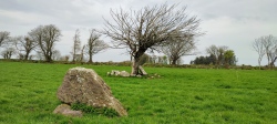 Laghtneill wedge tomb and standing stone - PID:244011