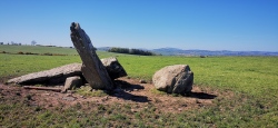 Rooves More Standing Stones - PID:226137