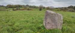 Carrignamaddry standing stones - PID:244328