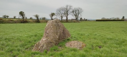 Laghtneill wedge tomb and standing stone - PID:244010