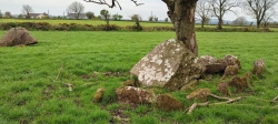 Laghtneill wedge tomb and standing stone - PID:244009