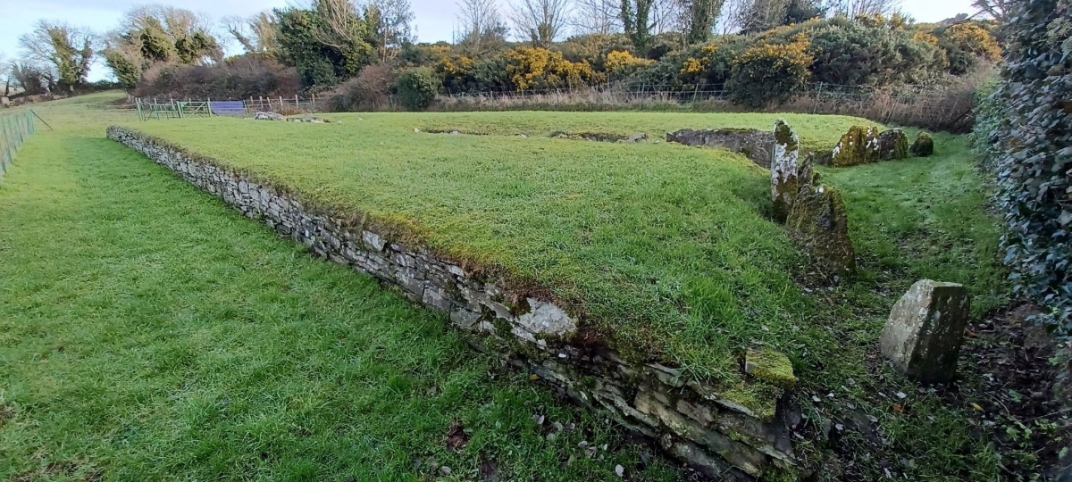 Audleystown Court Tomb