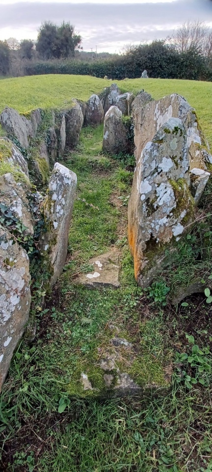 Audleystown Court Tomb