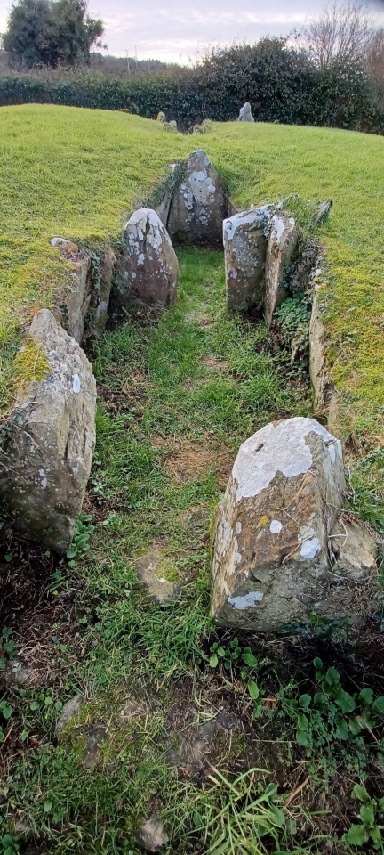 Audleystown Court Tomb