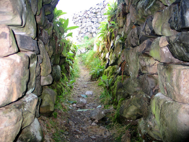 Exit from Souterrain, Drumena Cashel, County Down, Northern Ireland.