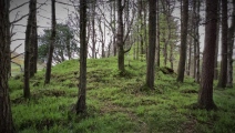 King's Grave in Tollymore Forest - PID:261037