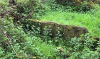 Ballyalton Court Tomb - PID:272932