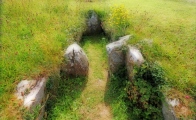 Audleystown Court Tomb - PID:229506