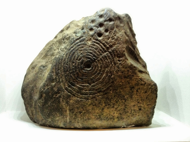 Spiral decorated stone in Dublin museum.