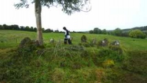 Ballynakill (LoughRea) Stone Circle - PID:50602