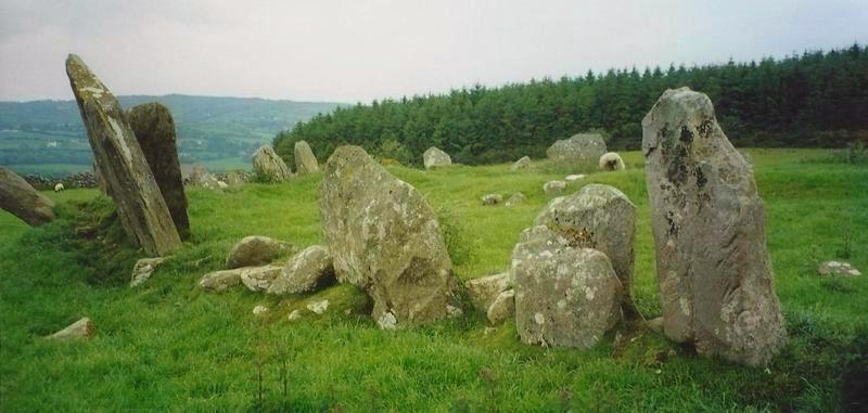 Beltany tops stone circle.