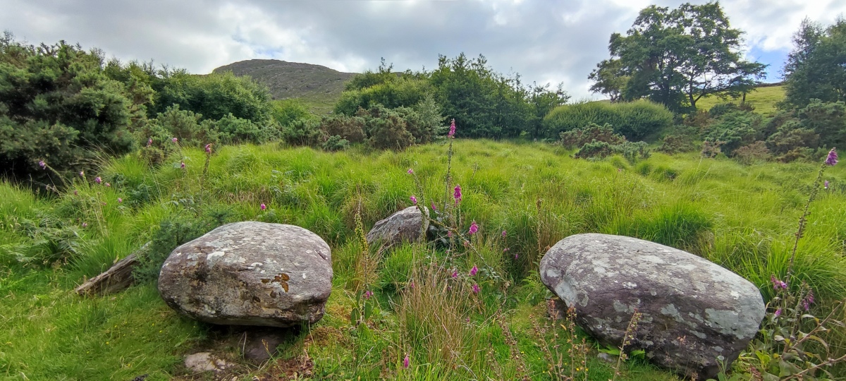 The group of three boulder burials and the standing stone (leaning towards the boulder burials on the left) are located approx 10 metres to the south west of the stone circle.

This is the view looking west.

Photo taken July 2022. 