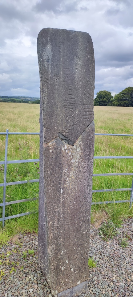 KE065-078009- 

This ogham stone (see KE057-078002-) formerly lay in the chancel of Kilbonane Church (KE057-078001-) and was moved to Coolmagort where it is on display with seven other ogham stones from the nearby souterrain (Macalister 1945, 235, no. 241). It has three lines of ogham inscription; one on an edge, another along a line scratched down along the face of the stone with a smaller line