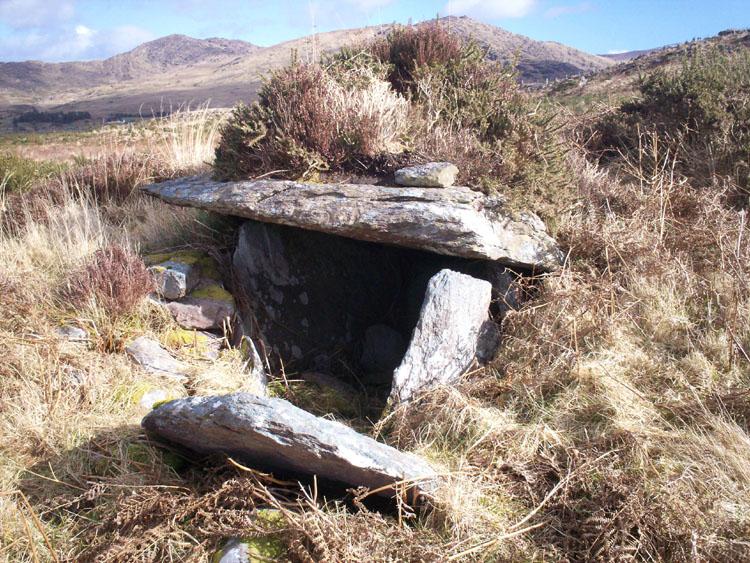 Drombohilly Wedge Tomb