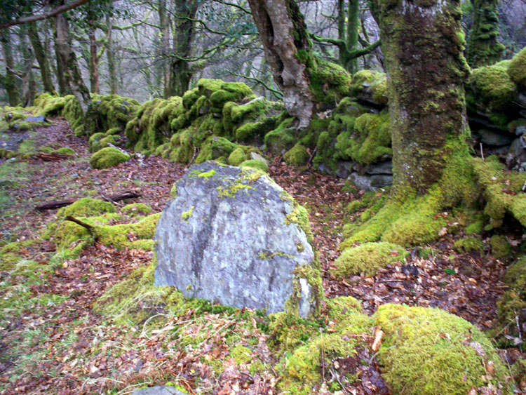 Esknamucky glen