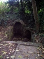 Saint Catherine's Well (Leixlip) - PID:23589