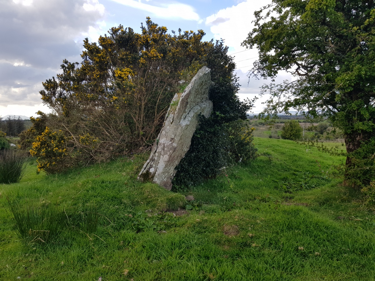 This stone appeared to be in the location of the Wedge Tomb