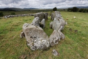 Ballybriest Court Tomb - PID:229507