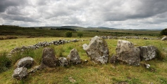 Ballybriest Court Tomb - PID:229510