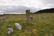 Possible 5 stone row near to the Village of Foxford County Mayo consisting of 3 standing stones, one fallen and one stump. The two tallest stones are 2m standing and 2.1m fallen.<br />
