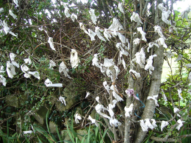 Supplications tied to a tree at the entrance to the site.  September 2008.  What on earth is this about?
