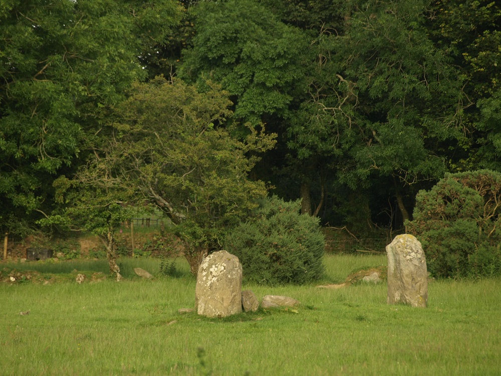 Giant's Grave (Co. Wicklow)