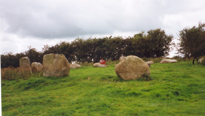 Site in Co. Wicklow.
A view showing the shape of the stones, which may have alternated, oval and rectangle
