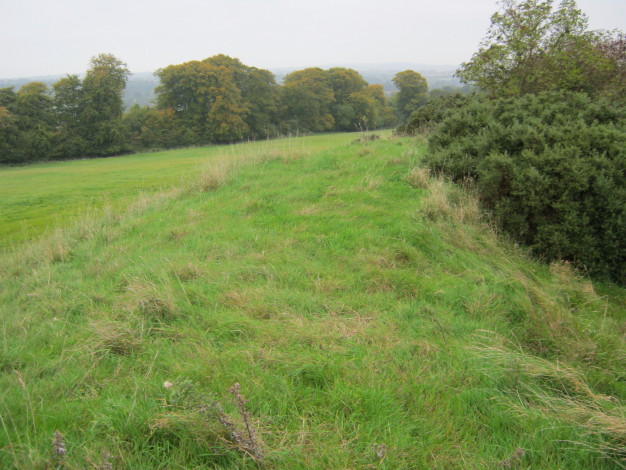 View along the top of the henge towards the east.  October 2010.