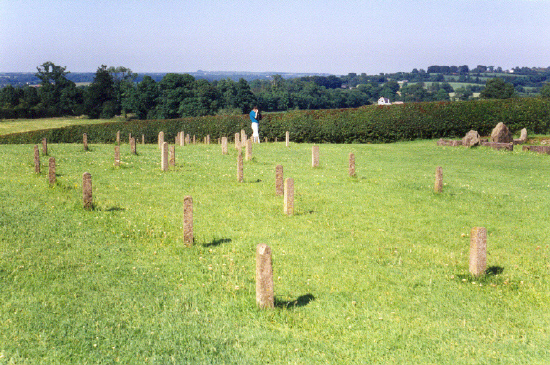 Maybe someone can remember what this arrangement of posts recorded at Newgrange?

July 1999.